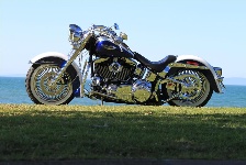IMG_6986.jpg