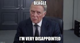 4psovs.jpg 4psovs.jpg