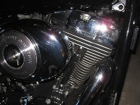 IMG_1652_(Small).JPG