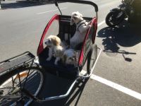 IMG_4163.jpeg IMG_4163.jpeg