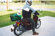 millyscooter.jpg