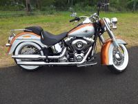 softail.jpg