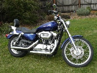 Custom_Sportster_001.jpg