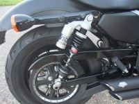 DSCF2273.JPG