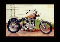 Some of my Harleys through time