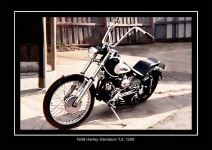 Some of my Harleys through time