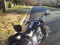 backside.jpg backside.jpg