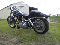 harley_002.jpg
