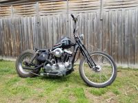 IMG_20180923_132459.jpg IMG_20180923_132459.jpg