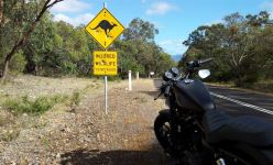 CameraZOOM-20121218092153230.jpg