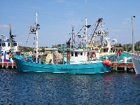 DSC00023.JPG