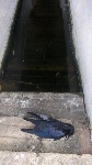 The_Shower_Truck_033.JPG