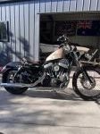 IMG_3236.jpeg
