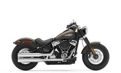 2021-softail-slim-f29-motorcycle.jpg