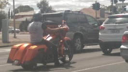 IMAG0087.jpg IMAG0087.jpg