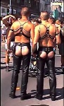 leatherchaps_(2).jpg