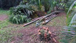 PXL_20250303_075654103.MP.jpg PXL_20250303_075654103.MP.jpg